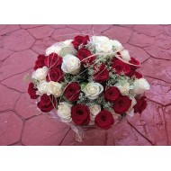Roses APATE 50x XXXL 60 cm Nr 739